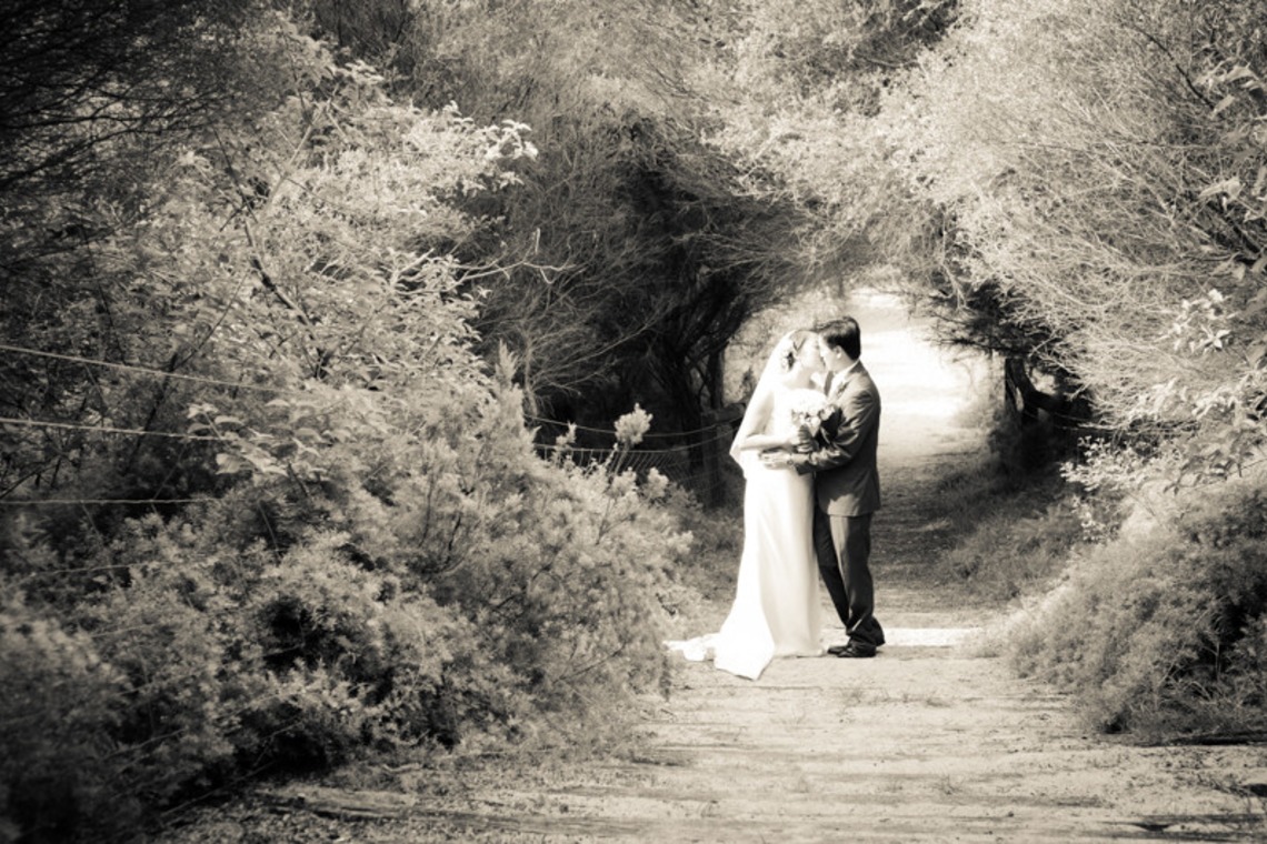 Album of the Wedding, Bridal taken by Lapin Design Photography - wedding