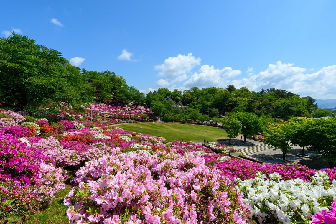 北野隼人が撮影した写真のアルバム「風景写真」