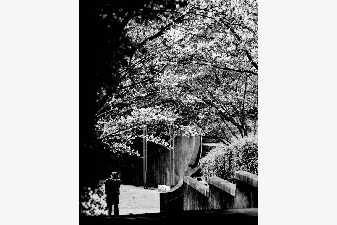 ハイナ　マテウス