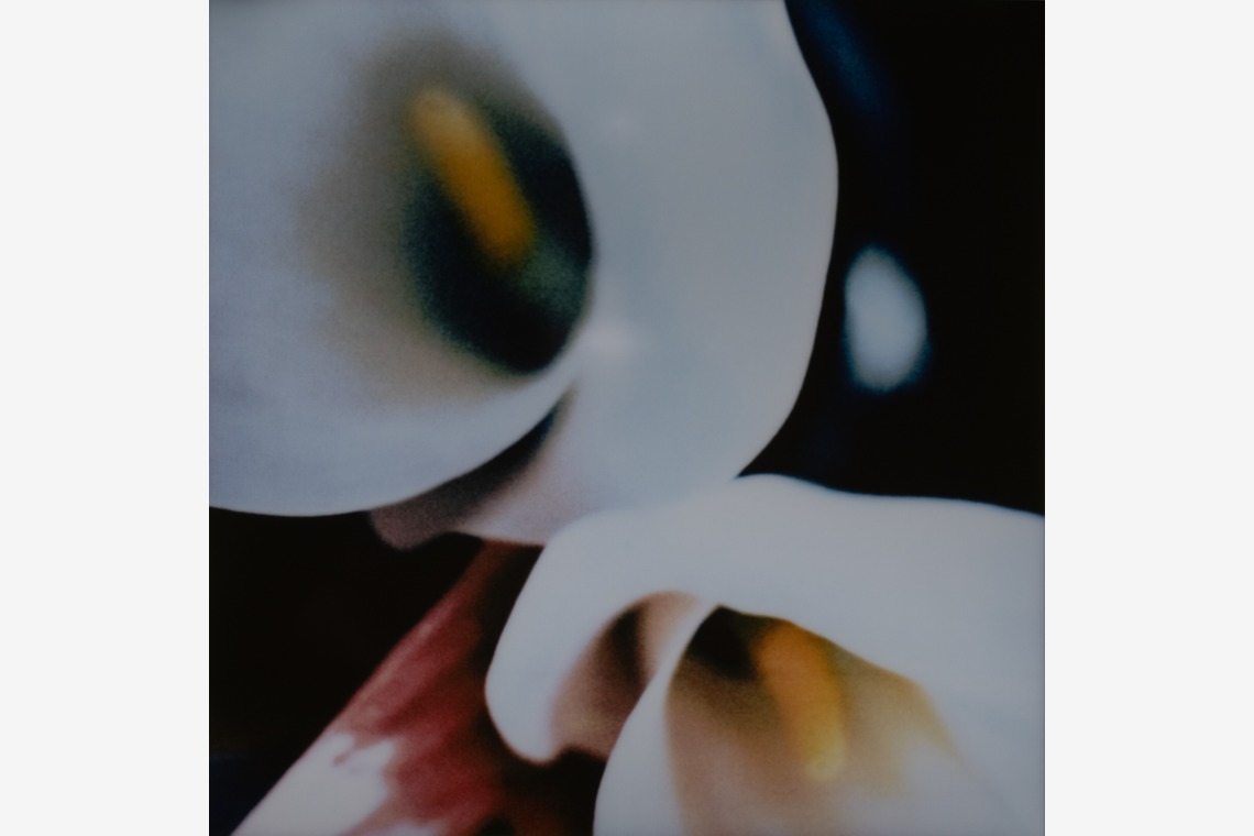 岡村公平が撮影した写真のアルバム「物撮り」