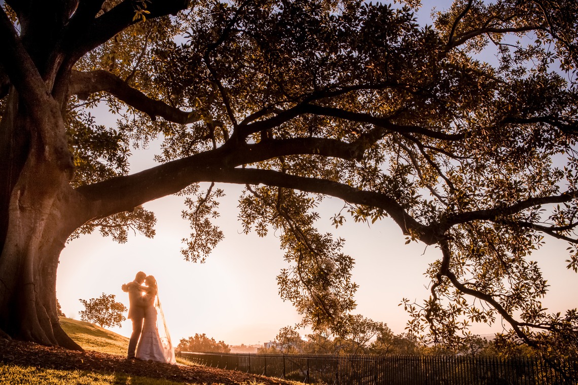 Photo of Gallery taken by Sydney Creative Photography