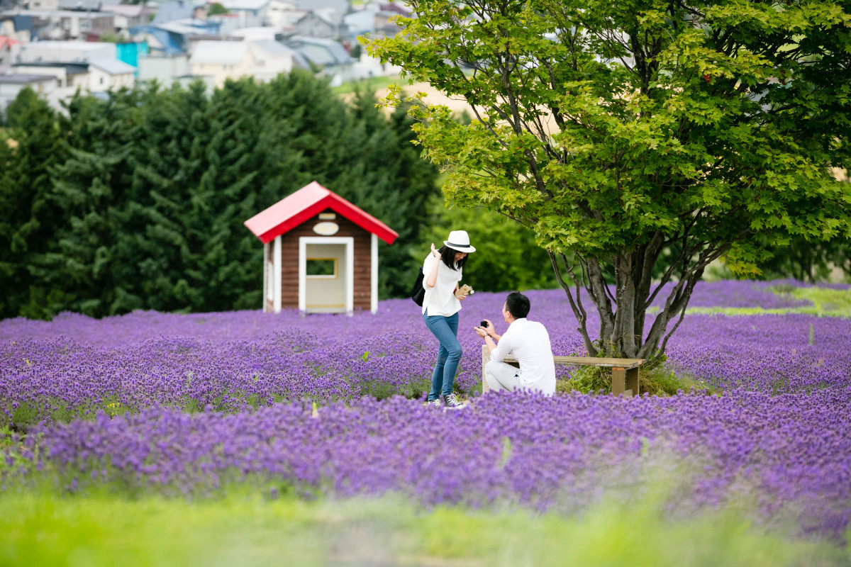 リッケフォトスタイルが撮影したサプライズプロポーズ写真in富良野