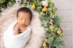 https://emily.works/articles/newborn-photo-tokyo-plan
