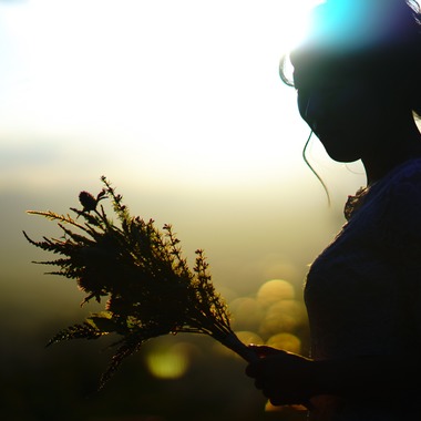 Photo taken by x - kyoto