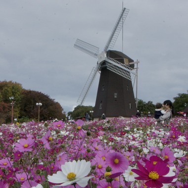 小林　碧が撮影した「いつもの公園で」の写真
