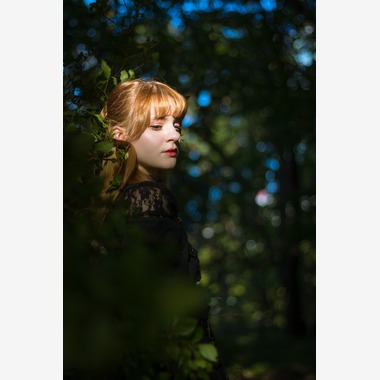 Surabhi Singhが撮影した「 東京ソロ旅行休暇写真」の写真