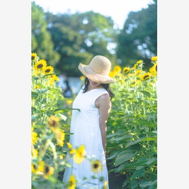 三橋宣貴が撮影した「葛西臨海公園にて」の写真
