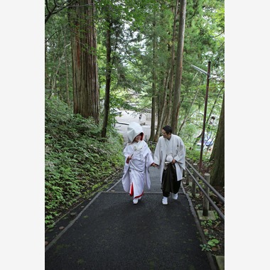 プロショップ　アングルが撮影した「フォトギャラリー」の写真