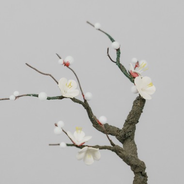 studio9thが撮影した「埼玉県川越市/革盆栽」の写真