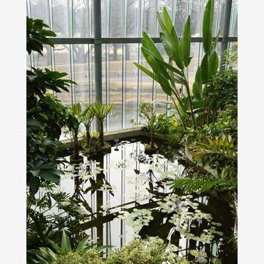 高田来未が撮影した「風景」の写真