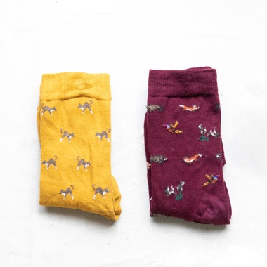 安藤栞里が撮影した「商品撮影」の写真