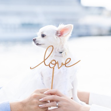 Photo taken by memories - Wedding, pre-shoot, wedding anniversary