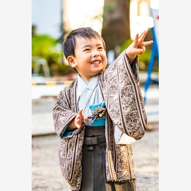 Act-brandingが撮影した「七五三出張撮影＠白山比咩神社」の写真