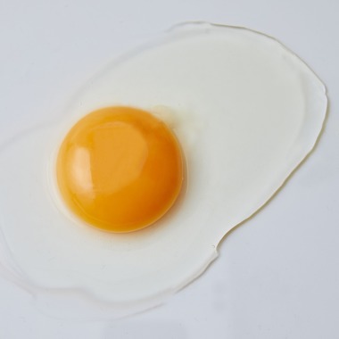 奥野由記が撮影した「卵撮影」の写真