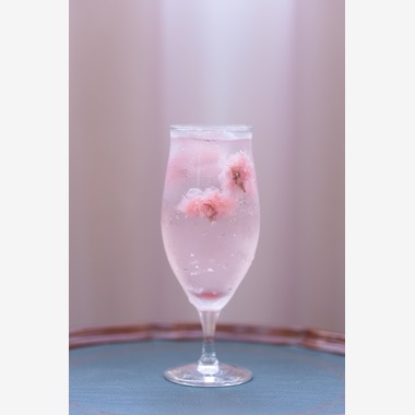 冨島　敬宏が撮影した「料理撮影」の写真