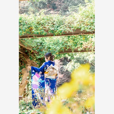 尾崎光が撮影した「成人式/2P」の写真