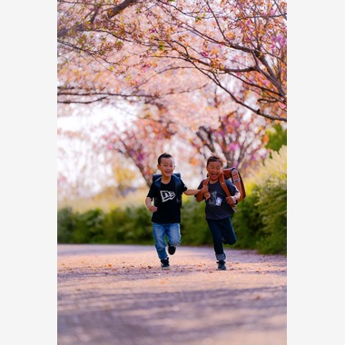 秋山諒輔が撮影した「お子様のロケーション撮影」の写真