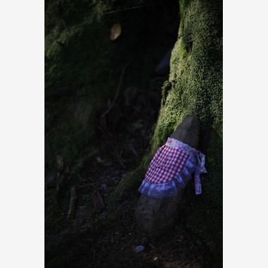 写真屋gonree　阿波根里恵が撮影した「高野山」の写真