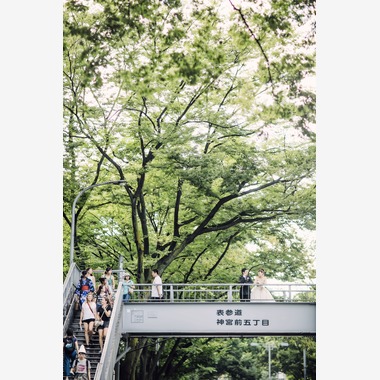 elle pupaが撮影した「東京」の写真