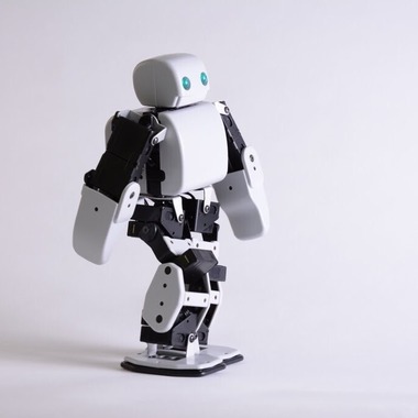 福井麻里が撮影した「商品・料理撮影」の写真