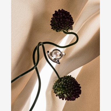 Hiroshi Horiが撮影した「スチルライフ」の写真