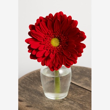 Photo taken by Nakamura Photo Works - 