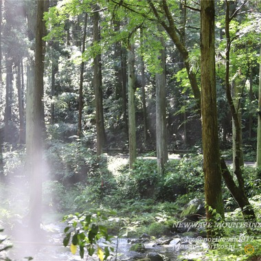 堀越正郎が撮影した「Photographer堀越正郎」の写真