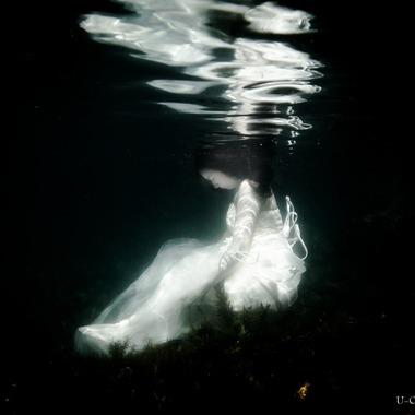 U-CONCENT (香川裕貴)が撮影した「水中ウェディング写真_和歌山、福井県」のウェディングフォト