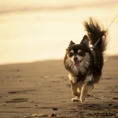 Photo Graphico 株式会社 PGクリエイトが撮影した「出張orスタジオでもハートフル＆アーティスティックなファミリー撮影」の写真