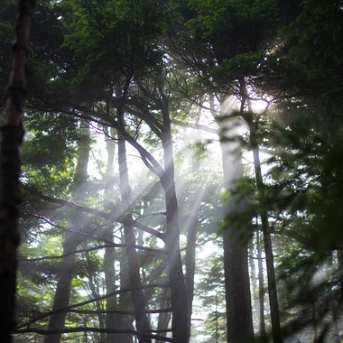 舘　典志が撮影した「風景」の写真