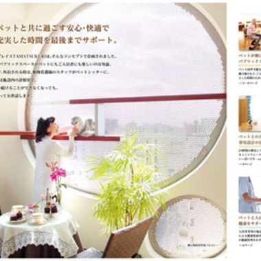 ディアスタジオが撮影した「広告写真」の写真