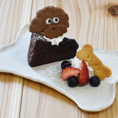 樋上　将太が撮影した「LilyKitchen（リリーキッチン）」の写真