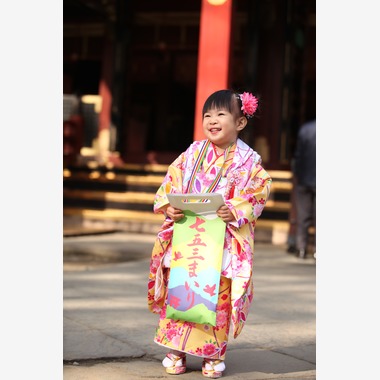 Kan Suzuki  photographyが撮影した「根津神社　七五三」の写真