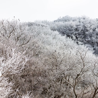 PhotoBaseありよしが撮影した「旅先での記念撮影」の写真