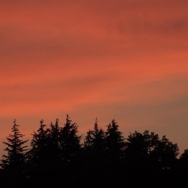 池田健人が撮影した「高尾」の写真