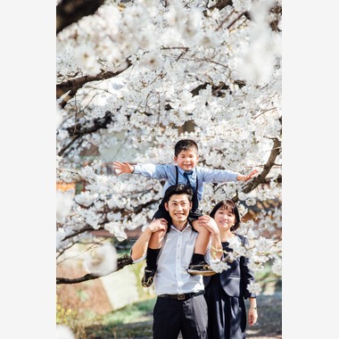 原田祐紀が撮影した「桜の季節、入学おめでとう」の写真