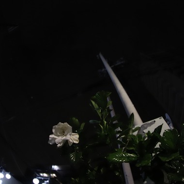 スタジオが撮影した「」のウェディングフォト