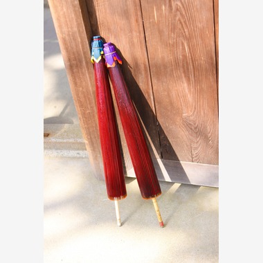 Photo taken by photo office zk - 