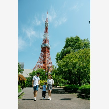 アラタンホヤガが撮影した「東京タワーの1日」の写真