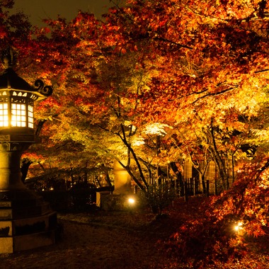 久保田　有一が撮影した「風景」の写真