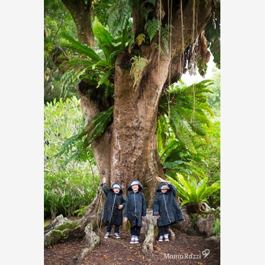 ママラッチが出張撮影した「ボタニック・ガーデン」の家族写真