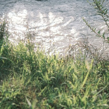 橋本　直樹が撮影した「純ちゃん農園」の写真