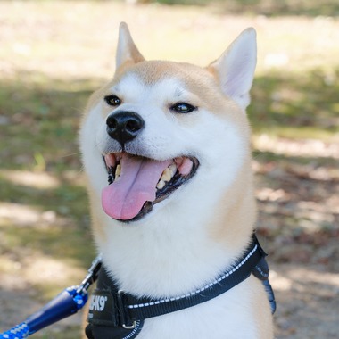 Photo taken by 高夏写真店 - couple photo shoot