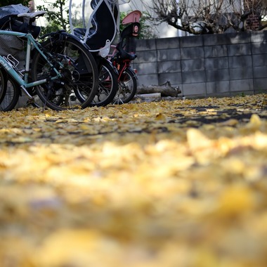 JMAXが撮影した「街・人」の写真