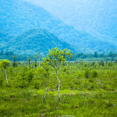 有光こうじ写真事務所が撮影した「風景写真」の写真