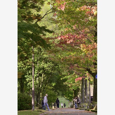 西野耀史 (写真事務所かがやき)が撮影した「風景写真」の写真