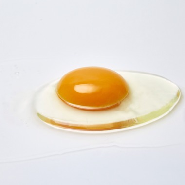 奥野由記が撮影した「卵撮影」の写真