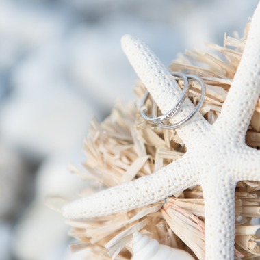 Photo taken by BUGZ WORKS PHOTOGRAPHY - 