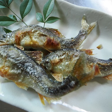 山口博光が撮影した「山口料理写真」の写真