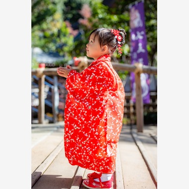 maruが撮影した「お寺で七五三」の写真